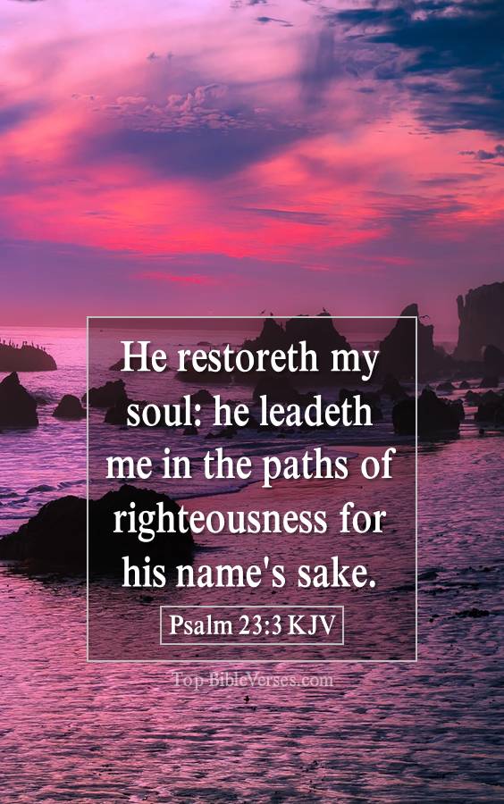 Psalm 23-3 KJV - He restoreth my soul: he leadeth me in the paths of righteousness for his name's sake.