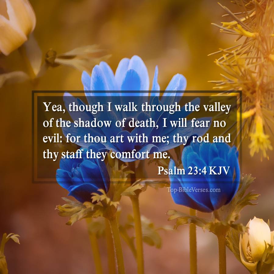 Psalm 23-4 KJV - Yea, though I walk through the valley of the shadow of death, I will fear no evil: for thou art with me; thy rod and thy staff they comfort me