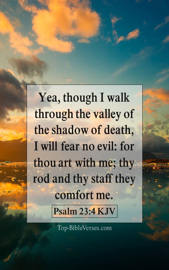 Psalm 23-4 KJV - Yea, though I walk through the valley of the shadow of death, I will fear no evil: for thou art with me; thy rod and thy staff they comfort me