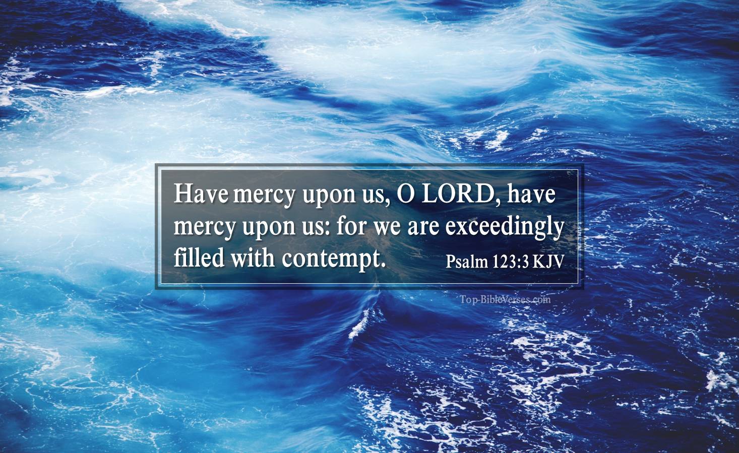 Psalm 123-3 KJV - Have mercy upon us, O LORD, have mercy upon us: for we are exceedingly filled with contempt.