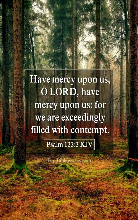 Psalm 123-3 KJV - Have mercy upon us, O LORD, have mercy upon us: for we are exceedingly filled with contempt.