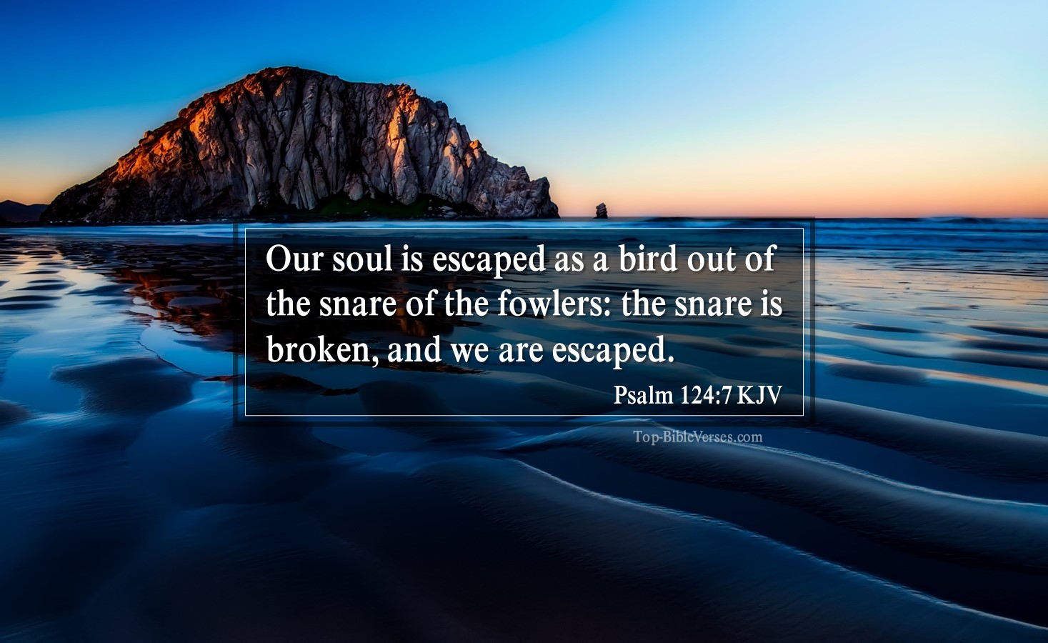 Psalm 124-7 KJV - Our soul is escaped as a bird out of the snare of the fowlers: the snare is broken, and we are escaped.