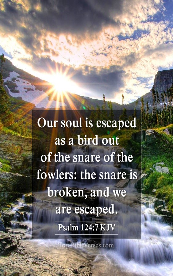 Psalm 124-7 KJV - Our soul is escaped as a bird out of the snare of the fowlers: the snare is broken, and we are escaped.