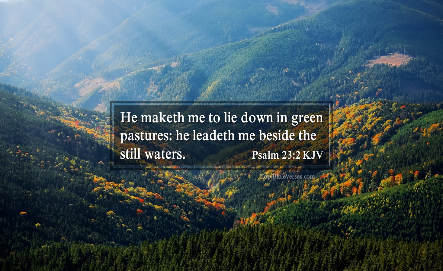 Psalm 23-2 KJV - He maketh me to lie down in green pastures: he leadeth me beside the still waters.