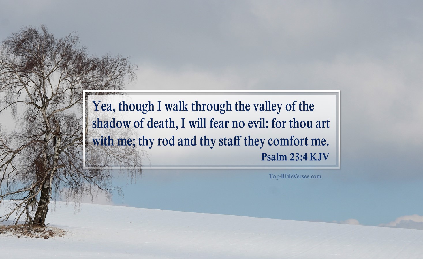 Psalm 23-4 KJV - Yea, though I walk through the valley of the shadow of death, I will fear no evil: for thou art with me; thy rod and thy staff they comfort me
