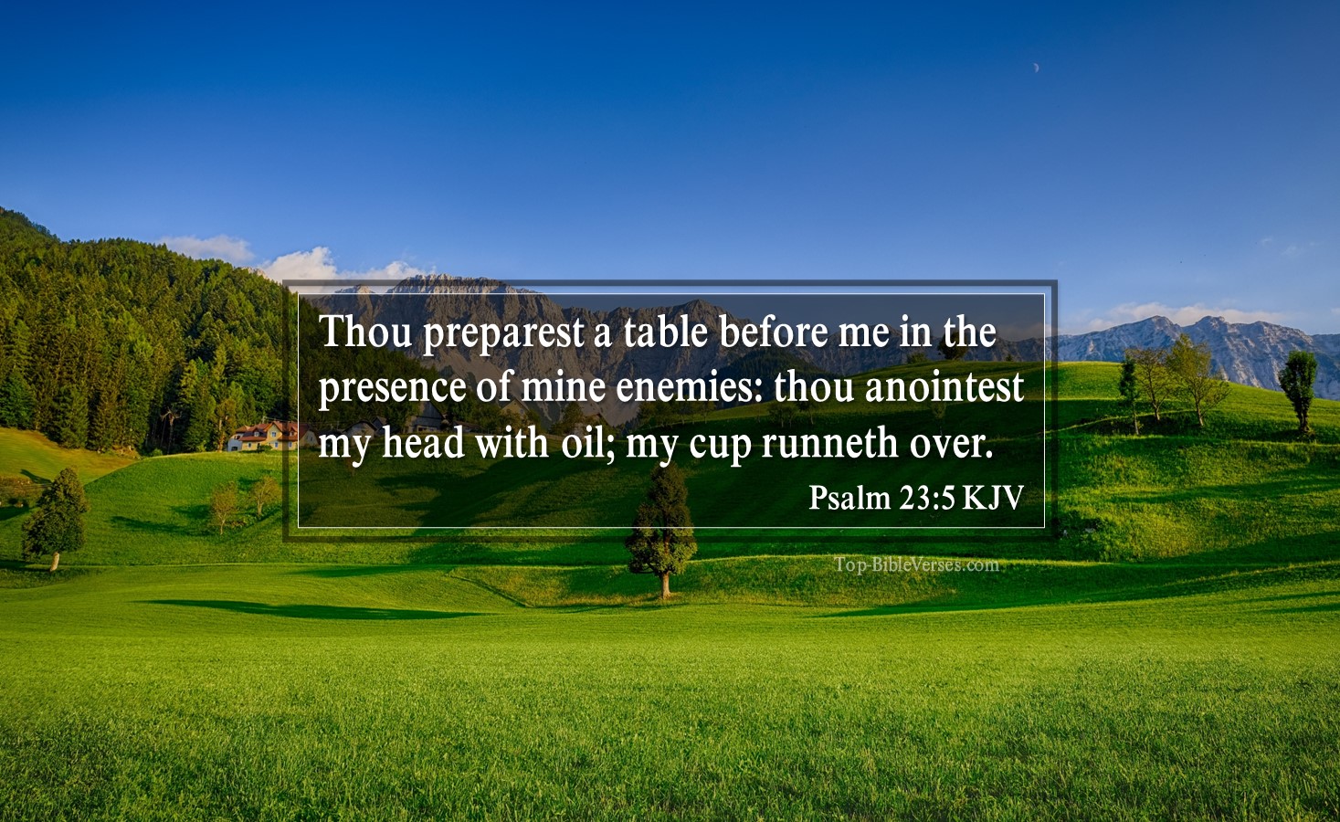 Psalm 23-5 KJV - Thou preparest a table before me in the presence of mine enemies: thou anointest my head with oil; my cup runneth over.