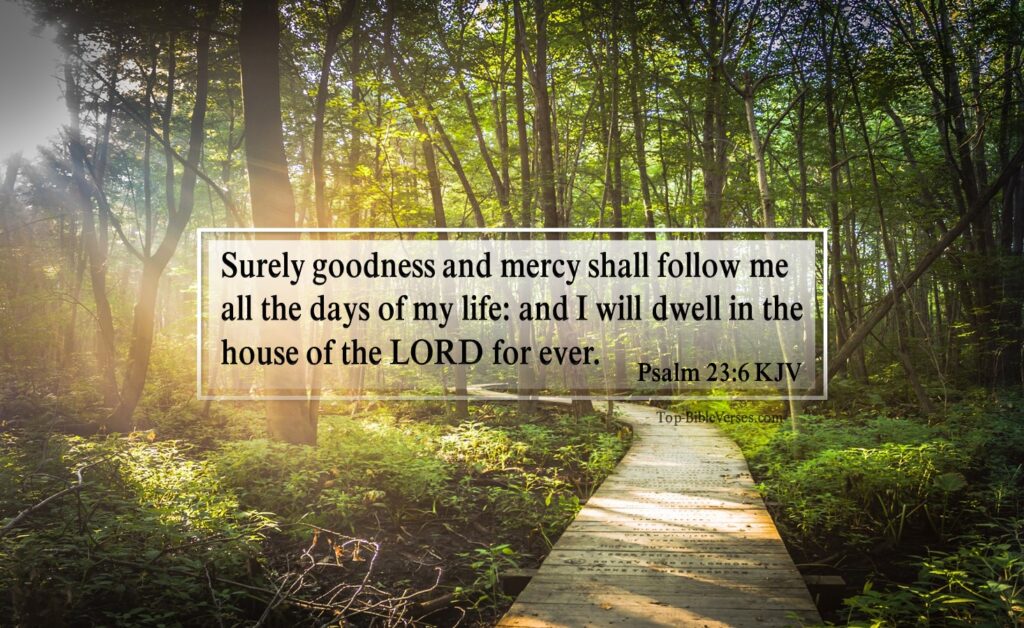 Psalm 23-6 KJV - Surely goodness and mercy shall follow me all the days of my life: and I will dwell in the house of the LORD for ever.