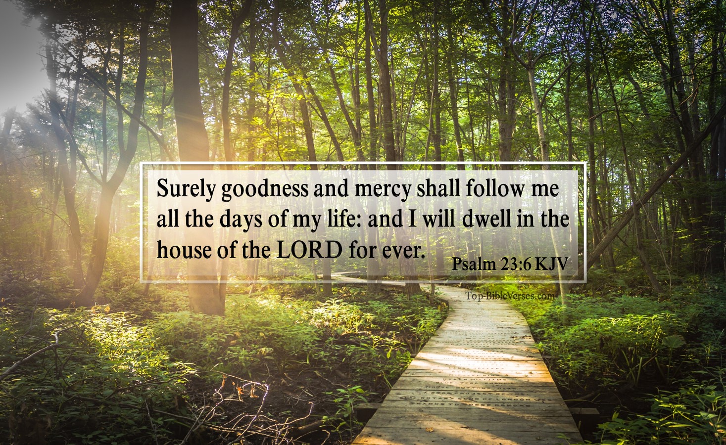 Psalm 23-6 KJV - Surely goodness and mercy shall follow me all the days of my life: and I will dwell in the house of the LORD for ever.