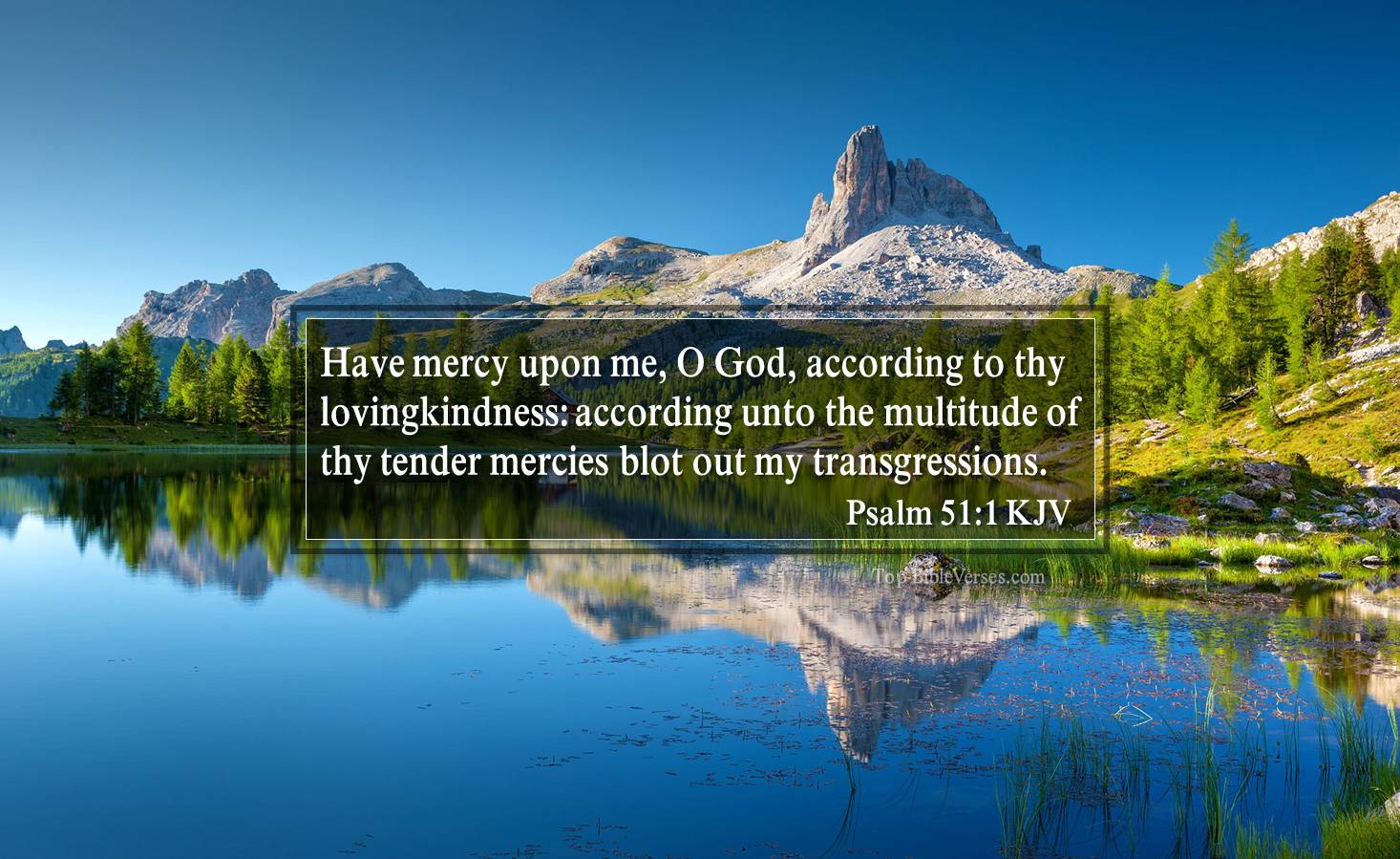 Psalm 51-1 KJV - Have mercy upon me, O God, according to thy lovingkindness: according unto the multitude of thy tender mercies blot out my transgressions.