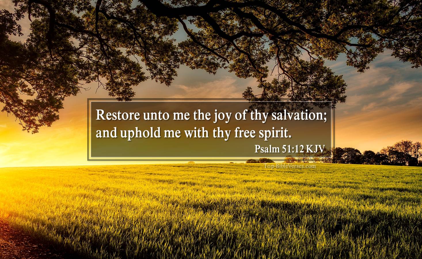 Psalm 51-12 KJV - Restore unto me the joy of thy salvation; and uphold me with thy free spirit.