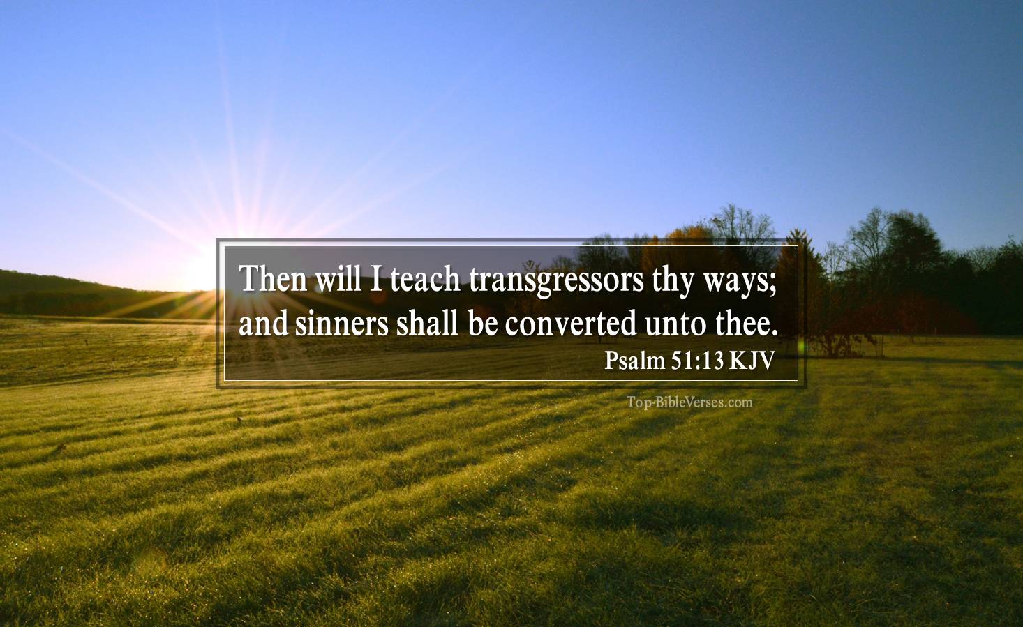 Psalm 51-13 KJV - Then will I teach transgressors thy ways; and sinners shall be converted unto thee.
