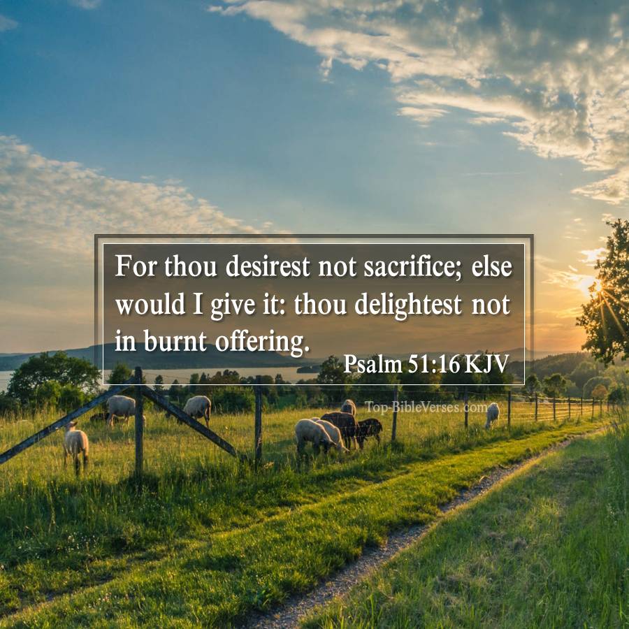 Psalm 51-16 KJV - For thou desirest not sacrifice; else would I give it: thou delightest not in burnt offering.