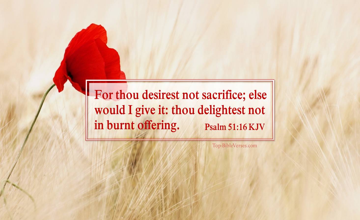 Psalm 51-16 KJV - For thou desirest not sacrifice; else would I give it: thou delightest not in burnt offering.