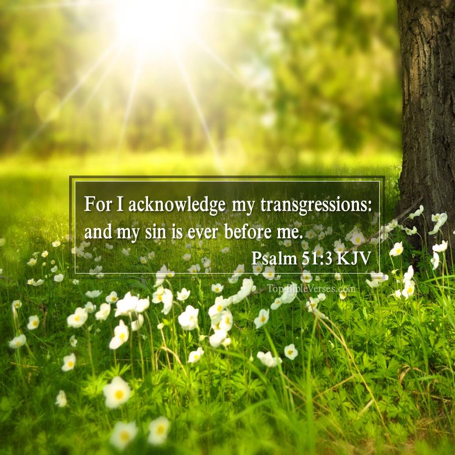 Psalm 51-3 KJV - For I acknowledge my transgressions: and my sin is ever before me.