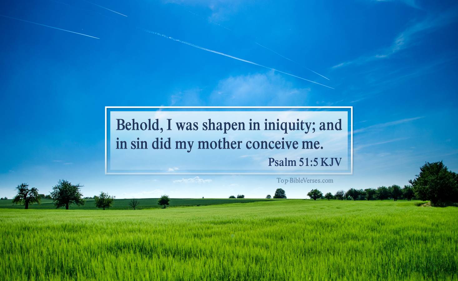 Psalm 51-5 KJV - Behold, I was shapen in iniquity; and in sin did my mother conceive me.