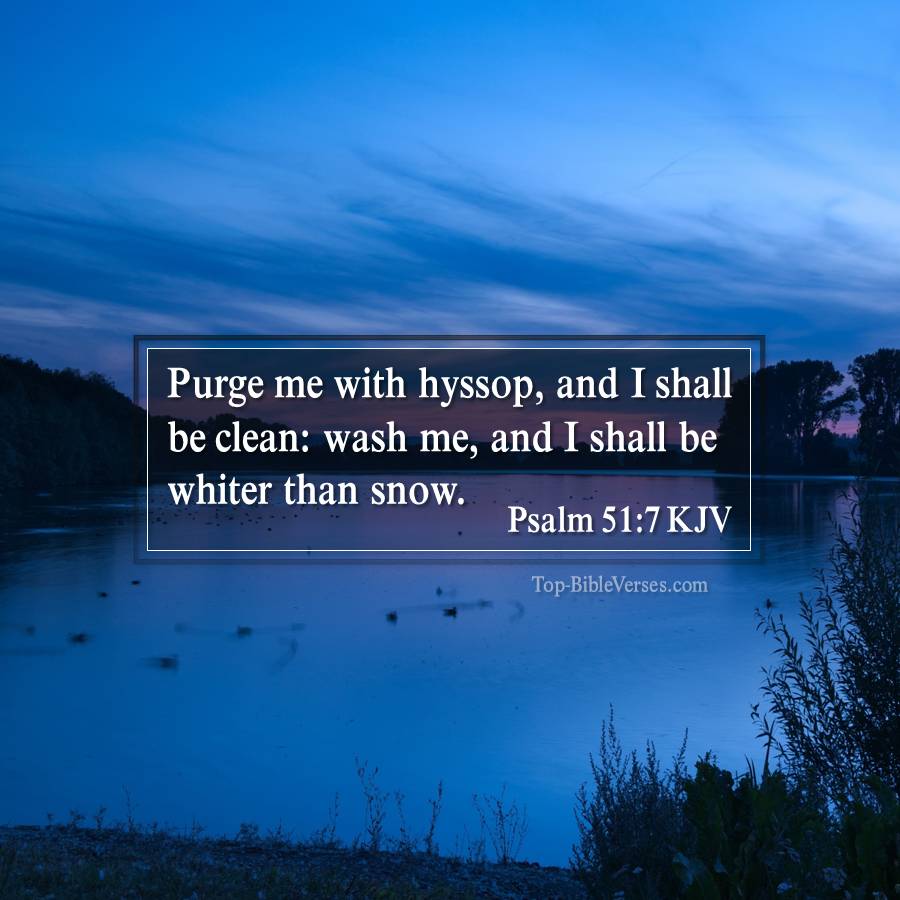 Psalm 51-7 KJV - Purge me with hyssop, and I shall be clean: wash me, and I shall be whiter than snow.