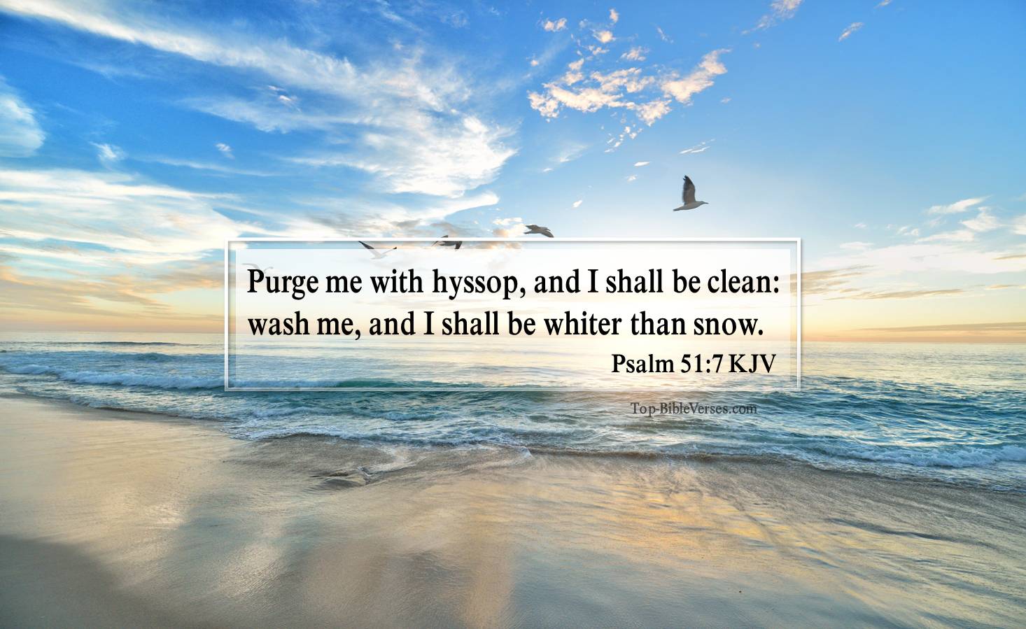 Psalm 51-7 KJV - Purge me with hyssop, and I shall be clean: wash me, and I shall be whiter than snow.