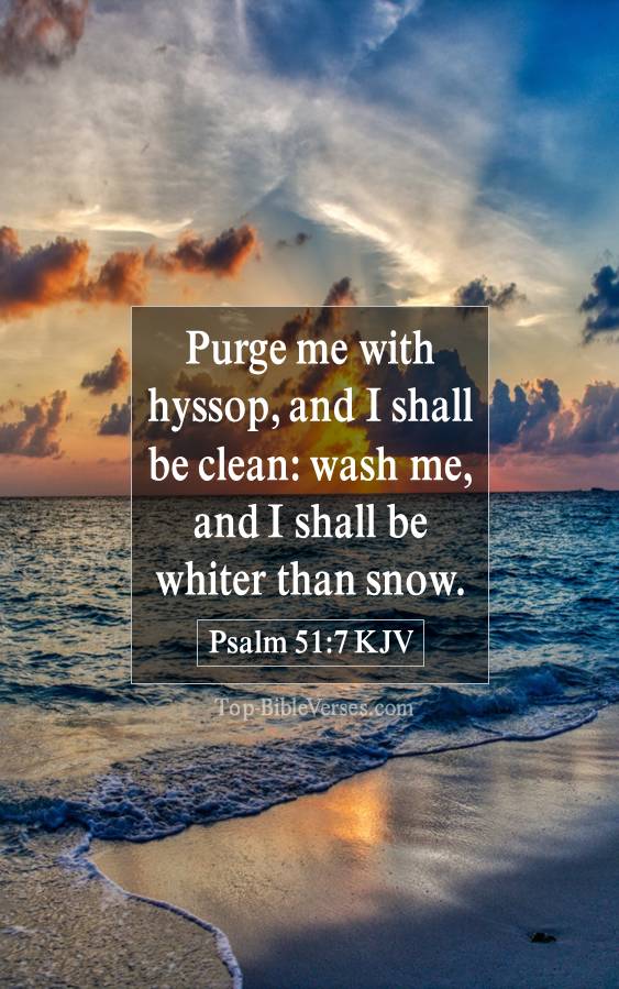 Psalm 51-7 KJV - Purge me with hyssop, and I shall be clean: wash me, and I shall be whiter than snow.