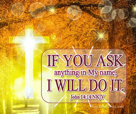 Bible GIF free download