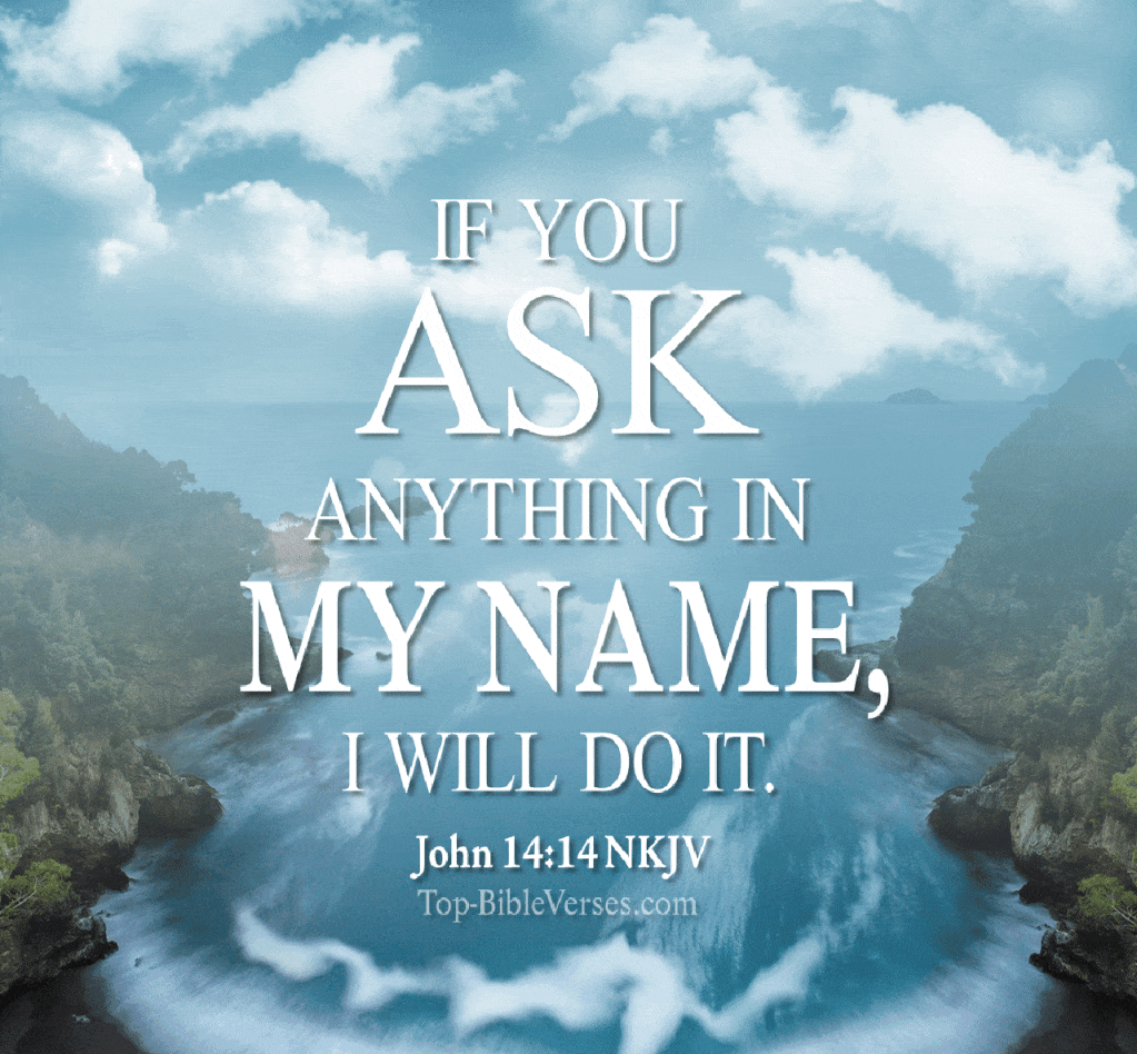 Bible scripture GIFs