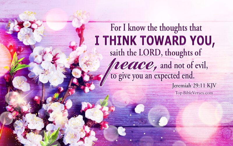 Jeremiah 29:11 KJV Inspirational Bible Verse Images | Bible Quotes
