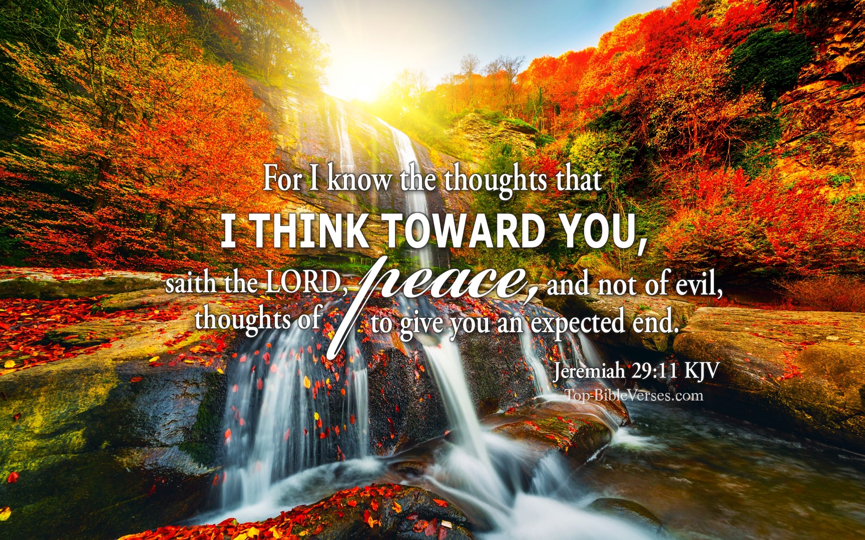 Jeremiah 29-11 KJV Inspirational Bible Verse Images. Top-BibleVerses.com