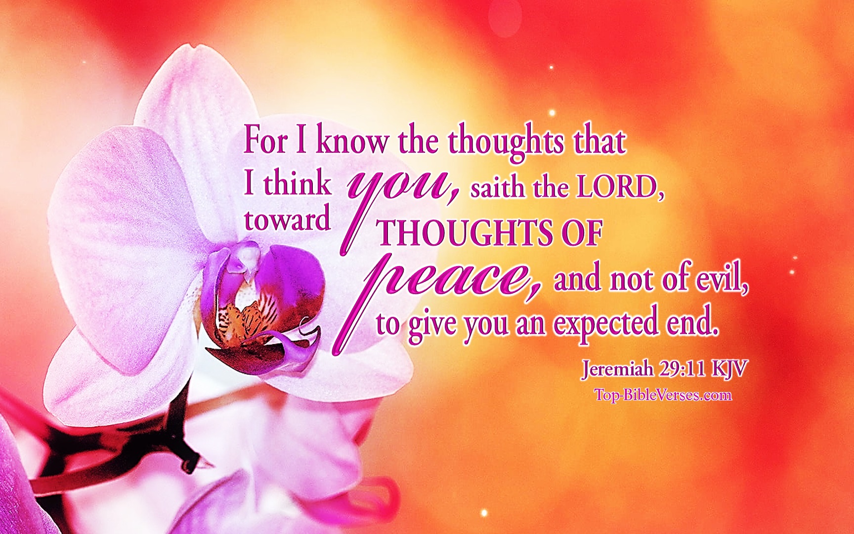 Jeremiah 29-11 KJV Inspirational Bible Verse Images. Top-BibleVerses.com