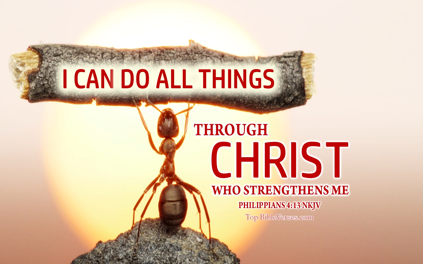 Philippians 4:13 NKJV Inspirational Bible Verse Images | Bible Quotes