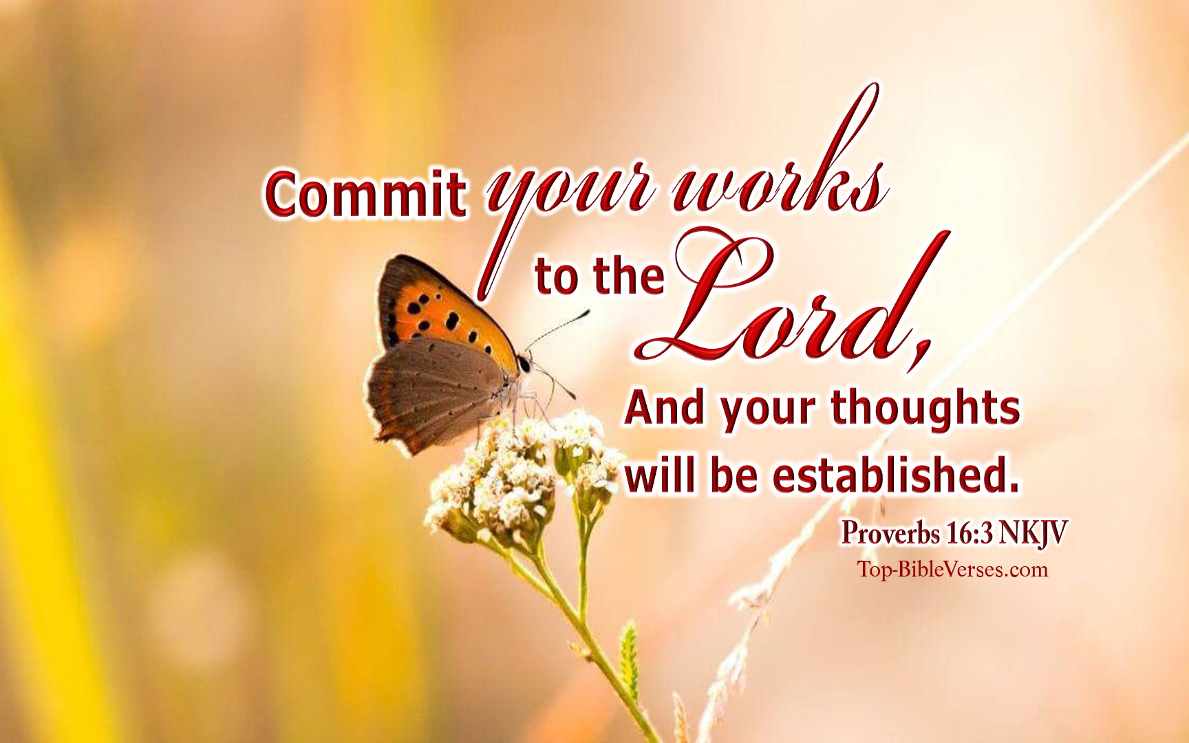 Proverbs 16-3 NKJV Inspirational Bible Verse Images. Top-BibleVerses.com