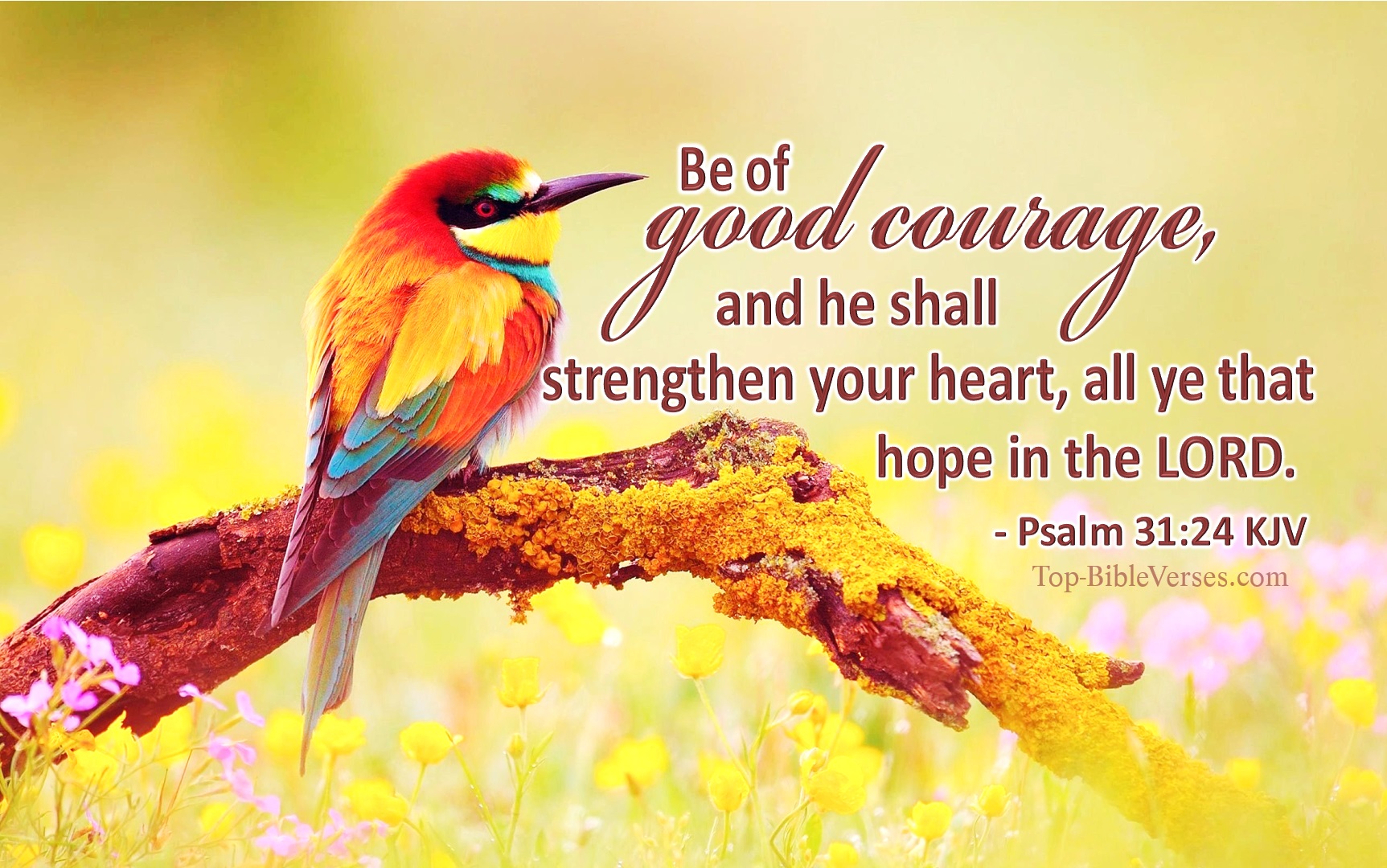 Psalm 31-24 KJV Inspirational Bible Verse Images. Top-BibleVerses.com