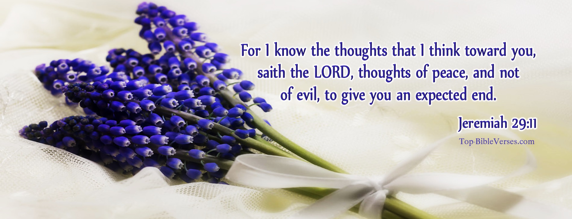 Jeremiah 29-11 - For I know the thoughts that I think toward you, saith the LORD, thoughts of peace, and not of evil, to give you an expected end. Christian Facebook Bible Verse Cover Photos.