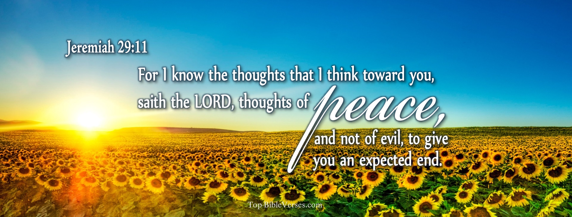 Jeremiah 29-11 - For I know the thoughts that I think toward you, saith the LORD, thoughts of peace, and not of evil, to give you an expected end. Christian Facebook Bible Verse Cover Photos.