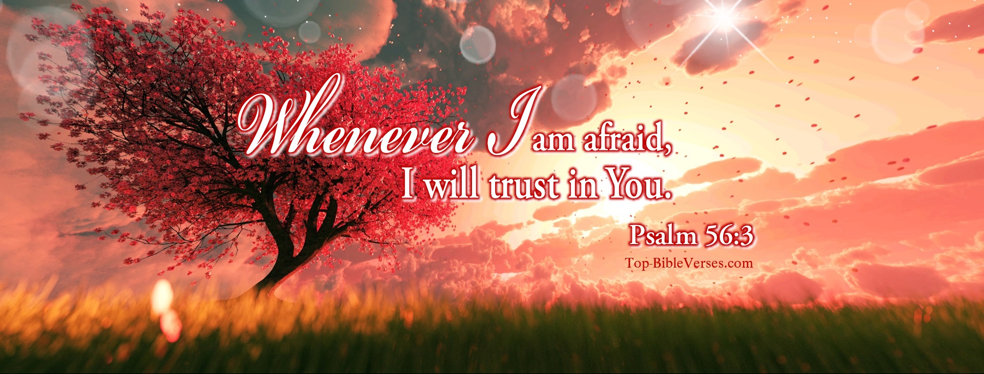 Psalm 56-3 - Whenever I am afraid, I will trust in You. Christian Facebook Bible Verse Cover Photos.