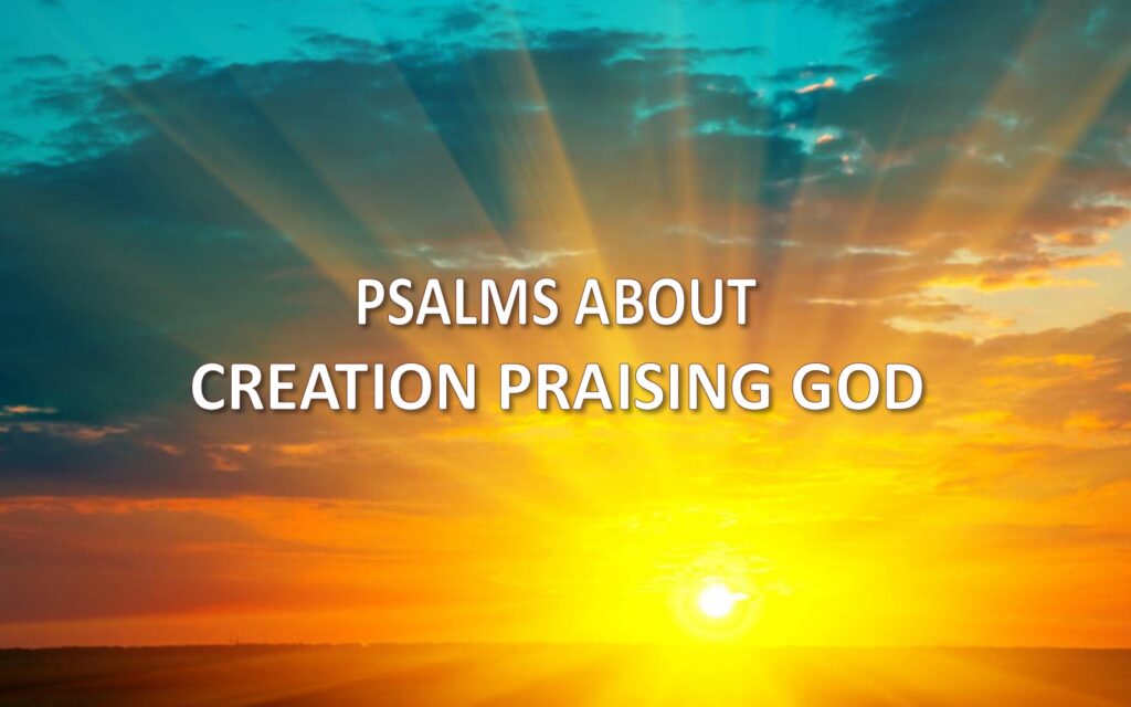 Psalms About Creation Praising God