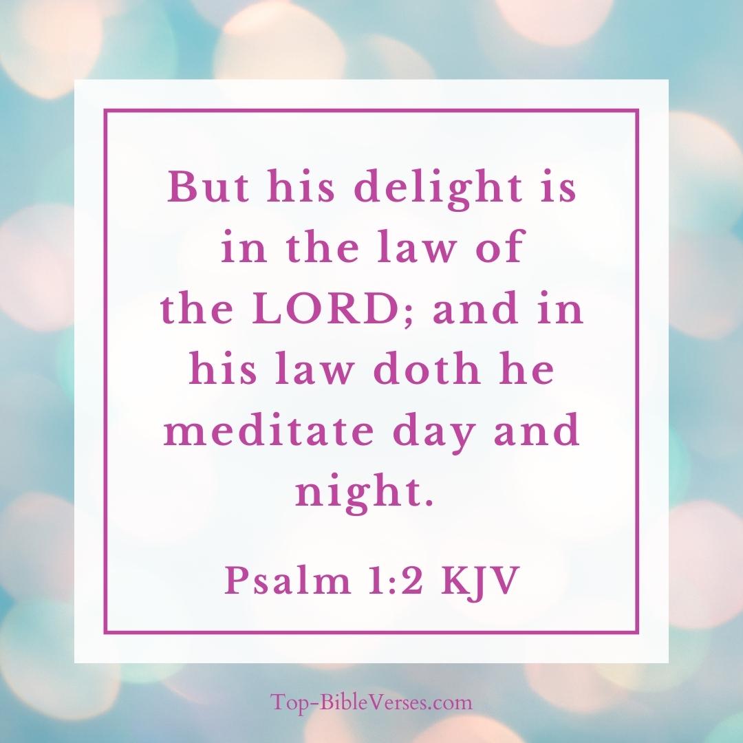 Psalm 1-2 KJV - But his delight is in the law of the LORD; and in his law doth he meditate day and night.