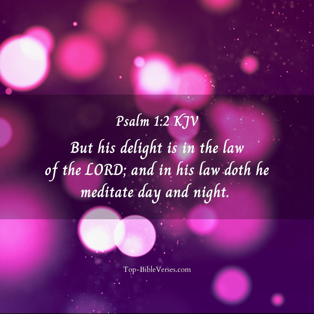 Psalm 1-2 DP Images