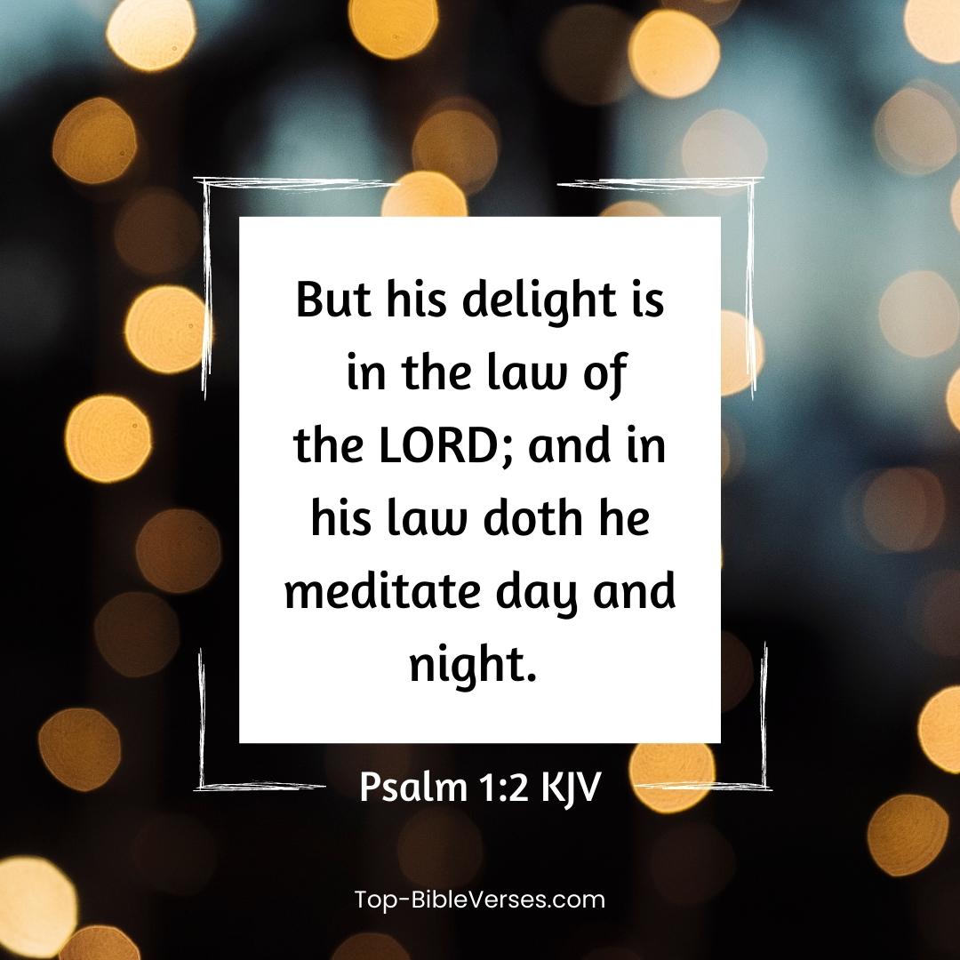 Psalm 1-2 KJV - But his delight is in the law of the LORD; and in his law doth he meditate day and night.