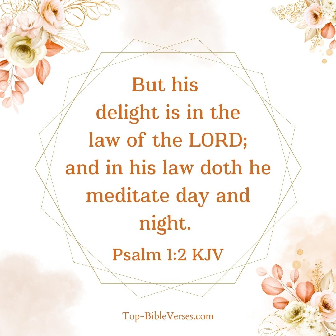 Psalm 1-2 Bible verse Images
