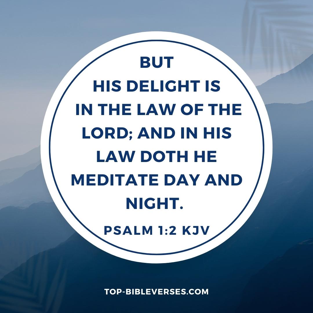 Psalm 1-2 KJV - But his delight is in the law of the LORD; and in his law doth he meditate day and night.