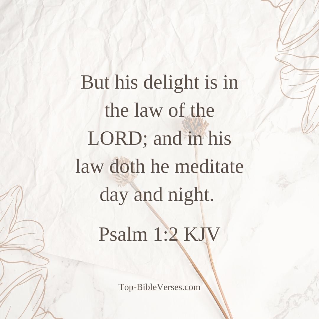 Psalm 1-2 Bible verse Images