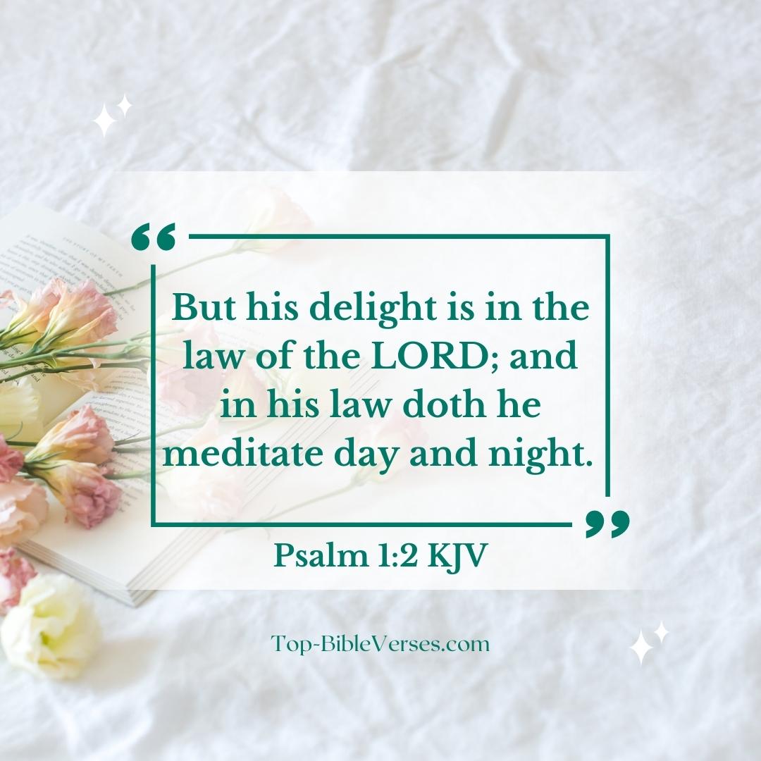 Psalm 1-2 Bible verse Images