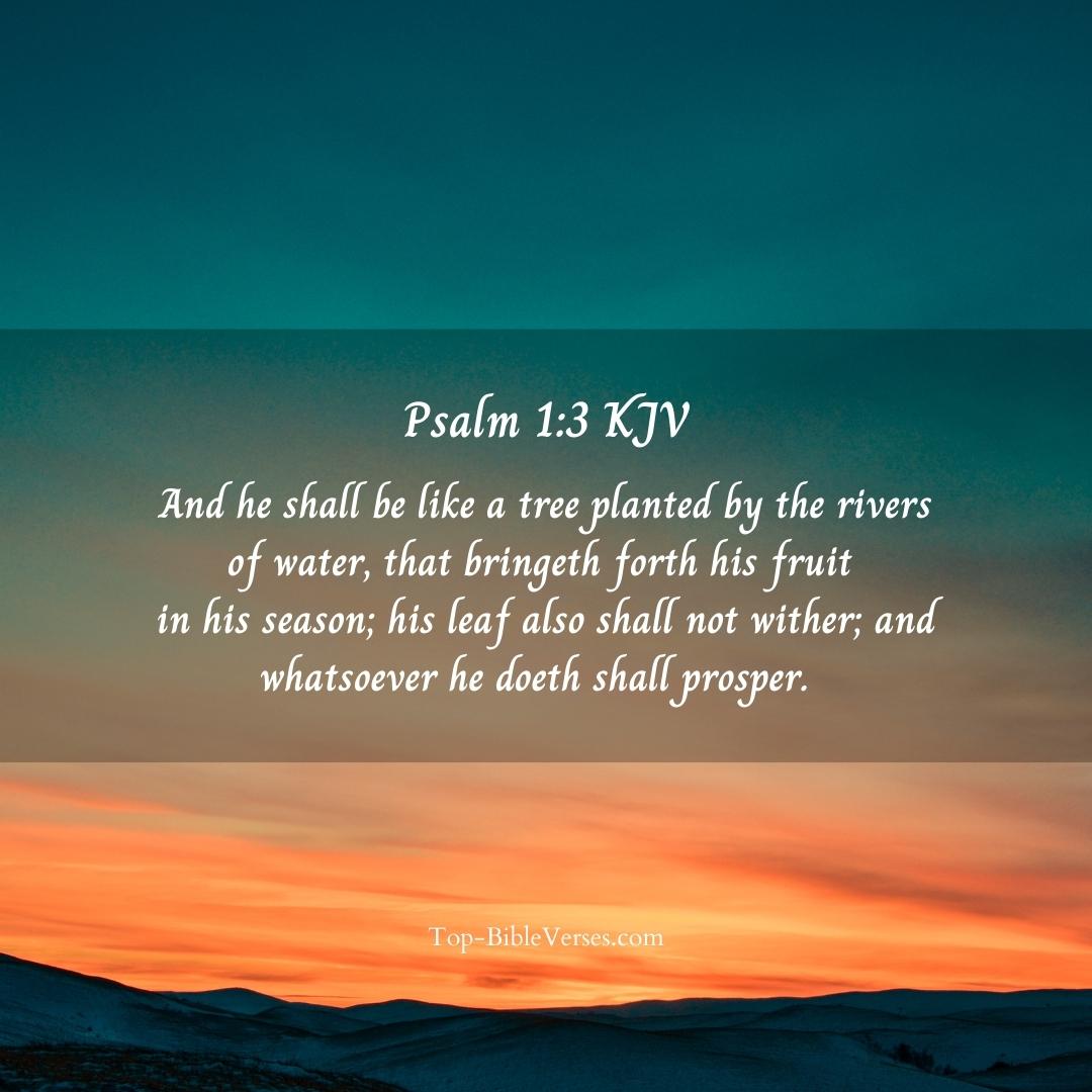 Psalm 1-3 KJV DP Images