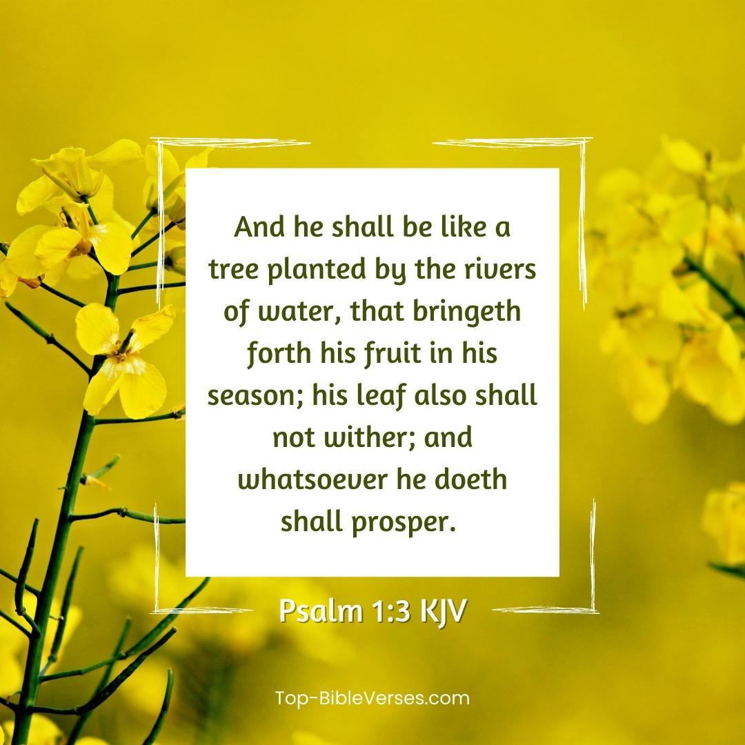 Psalm 1-3 Bible verse Images