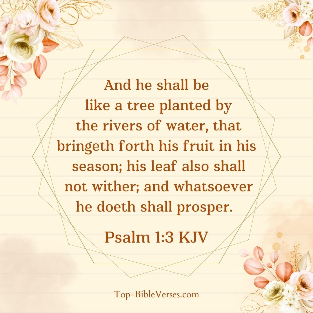 Psalm 1-3 Bible verse Images