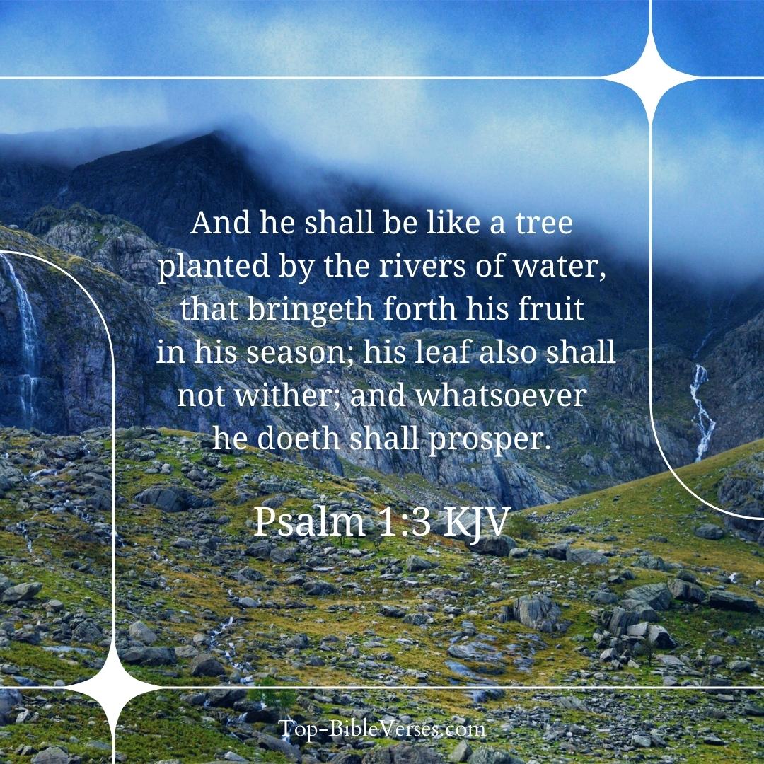 Psalm 1-3 DP Images