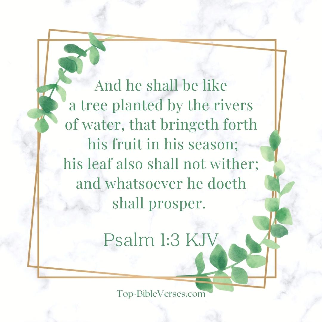 Psalm 1-3 KJV DP Images