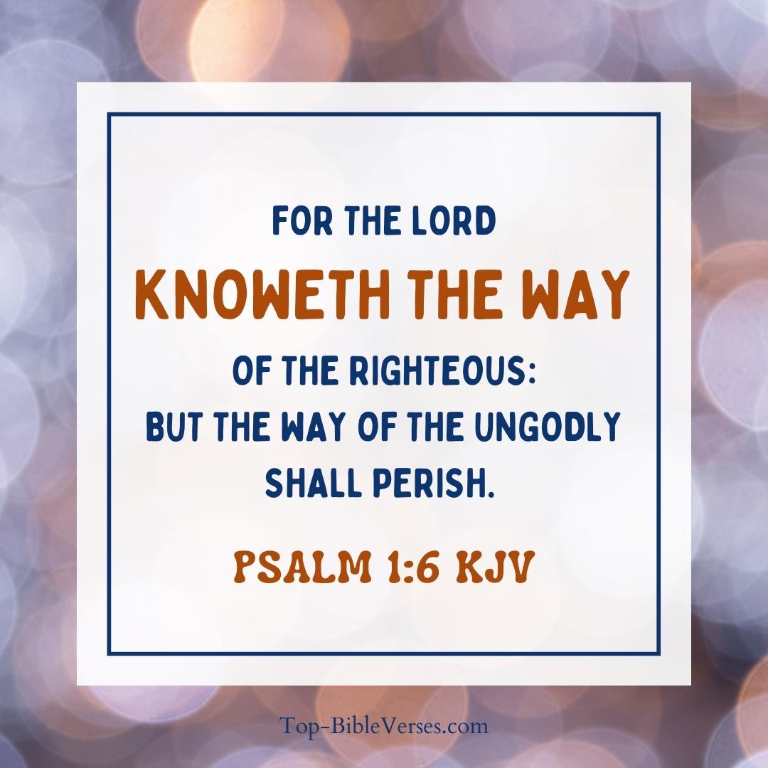 Psalm 1-6 KJV - For the LORD knoweth the way of the righteous: but the way of the ungodly shall perish.