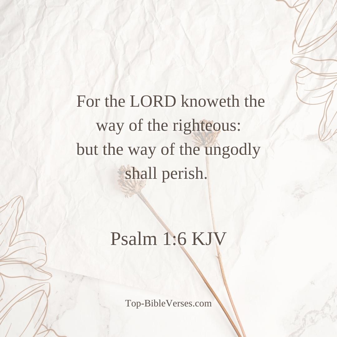 Psalm 1-6 KJV - For the LORD knoweth the way of the righteous: but the way of the ungodly shall perish.