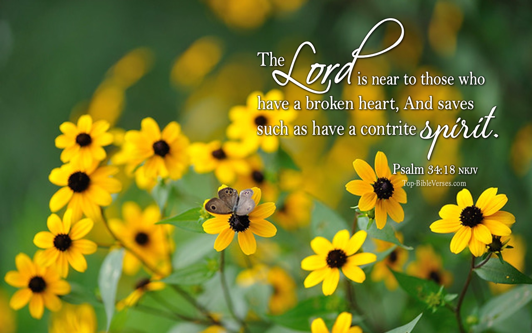 Psalm 34-18 - The LORD is near to those who have a broken heart. NKJV Christian Bible Verse Desktop Wallpaper.