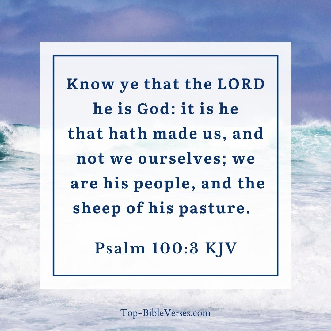 Psalm 100-3 KJV - Know ye that the LORD he is God: it is he that hath made us, and not we ourselves.